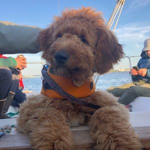 Meet your Posher, Katie